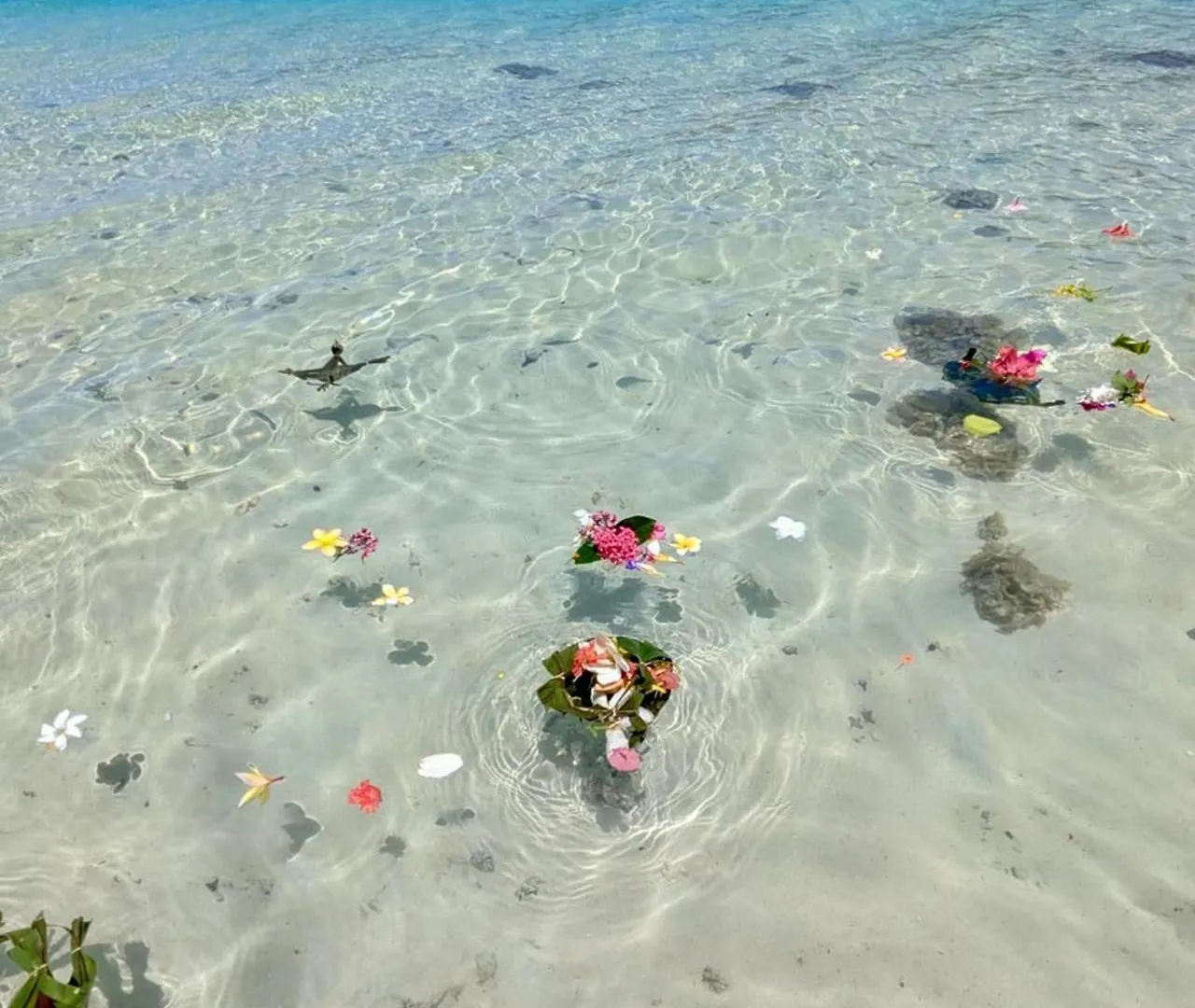 Te Fiti Lodge Haapiti - Acces Lagon Et Piscine Hauru Ferienhaus