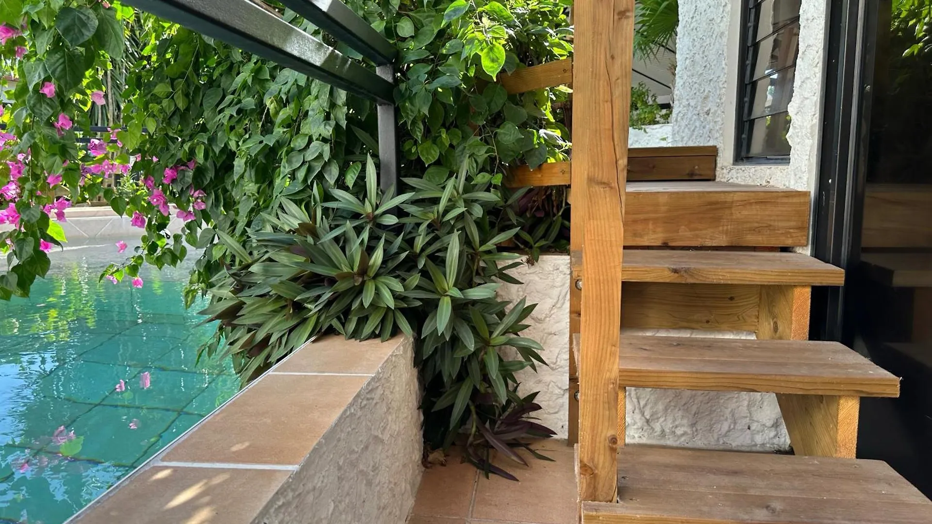 Te Fiti Lodge Haapiti - Acces Lagon Et Piscine Hauru 0*,